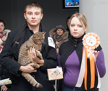 click for enlarge 1920 X 1628 945.0 Kb picture