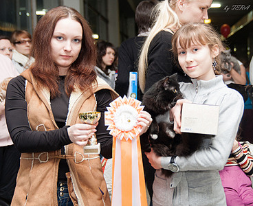 click for enlarge 1920 X 1562 390.0 Kb picture