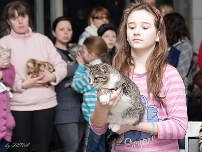 click for enlarge 1920 X 1450 1011.3 Kb picture