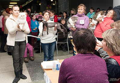 click for enlarge 1920 X 1332 905.5 Kb picture