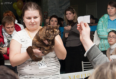 click for enlarge 1920 X 1310 861.4 Kb picture