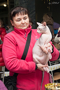 click for enlarge 1606 X 2408 698.1 Kb picture