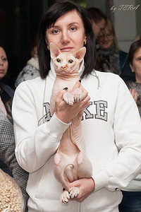 click for enlarge 1372 X 2057 371.3 Kb picture