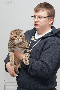 click for enlarge 1523 X 2284 600.5 Kb picture