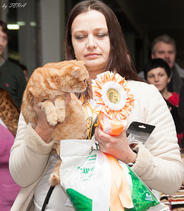 click for enlarge 1920 X 2205 371.8 Kb picture