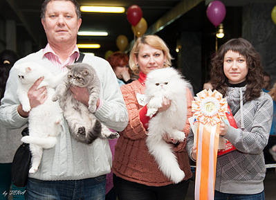 click for enlarge 1920 X 1390 835.2 Kb picture