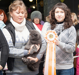 click for enlarge 1920 X 1814 436.7 Kb picture