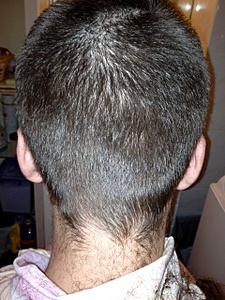 click for enlarge 1920 X 2560 568.1 Kb picture