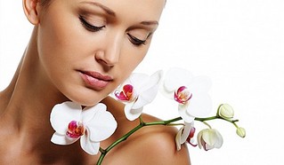 click for enlarge 567 X 331  30.6 Kb picture