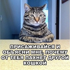 click for enlarge 460 X 463 61.8 Kb picture