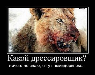 click for enlarge 604 X 476 64.7 Kb picture