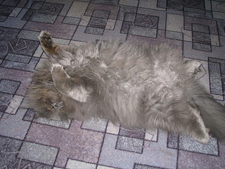 click for enlarge 600 X 450 96.9 Kb picture