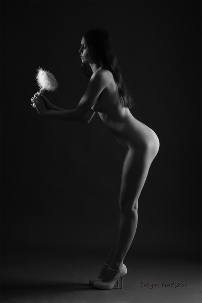 click for enlarge 600 X 900 145.1 Kb picture