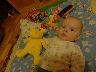 click for enlarge 448 X 336 68.7 Kb picture