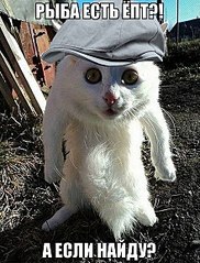 click for enlarge 439 X 577 95.7 Kb picture