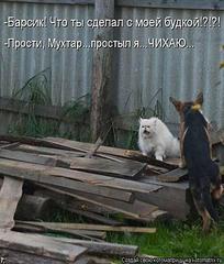 click for enlarge 404 X 475 562.3 Kb picture