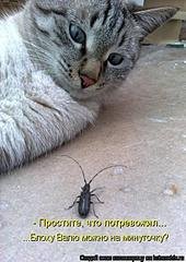 click for enlarge 442 X 623 808.0 Kb picture
