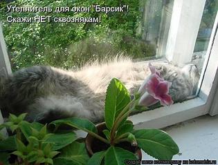 click for enlarge 562 X 427 703.9 Kb picture