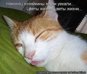 click for enlarge 440 X 375 483.5 Kb picture