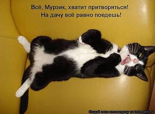 click for enlarge 526 X 387 597.2 Kb picture