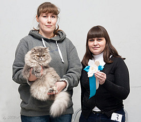 click for enlarge 600 X 521 80.0 Kb picture