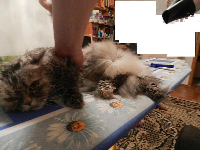 click for enlarge 1920 X 1440 215.8 Kb picture