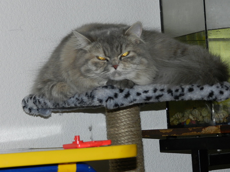 click for enlarge 1920 X 1440 467.0 Kb picture