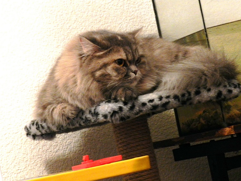 click for enlarge 1920 X 1440 765.9 Kb picture