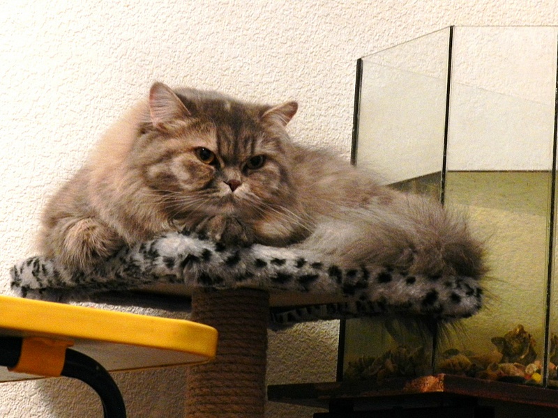 click for enlarge 1920 X 1440 805.6 Kb picture