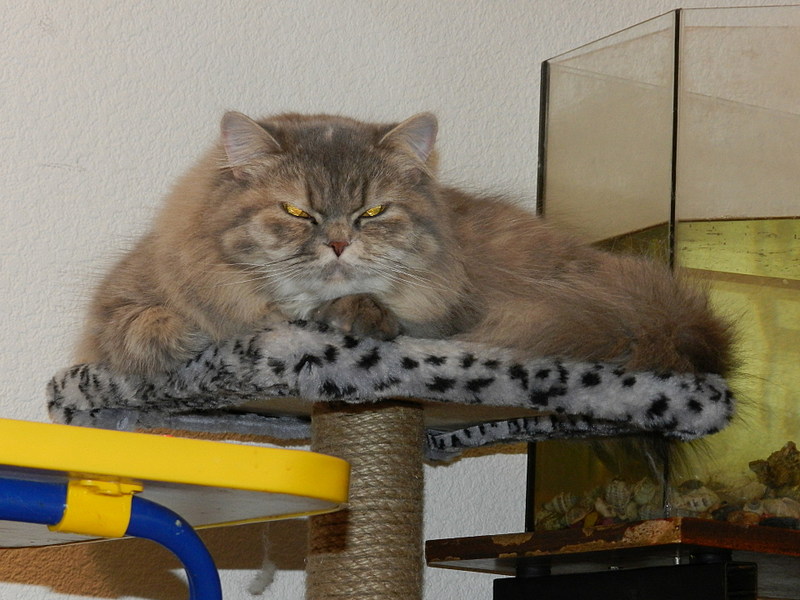 click for enlarge 1920 X 1440 465.0 Kb picture