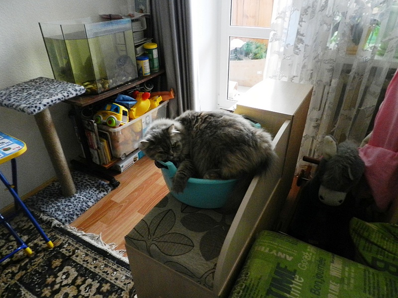 click for enlarge 1920 X 1440 754.2 Kb picture