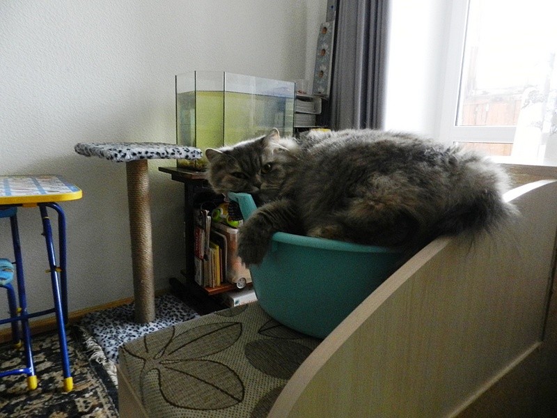 click for enlarge 1920 X 1440 703.6 Kb picture