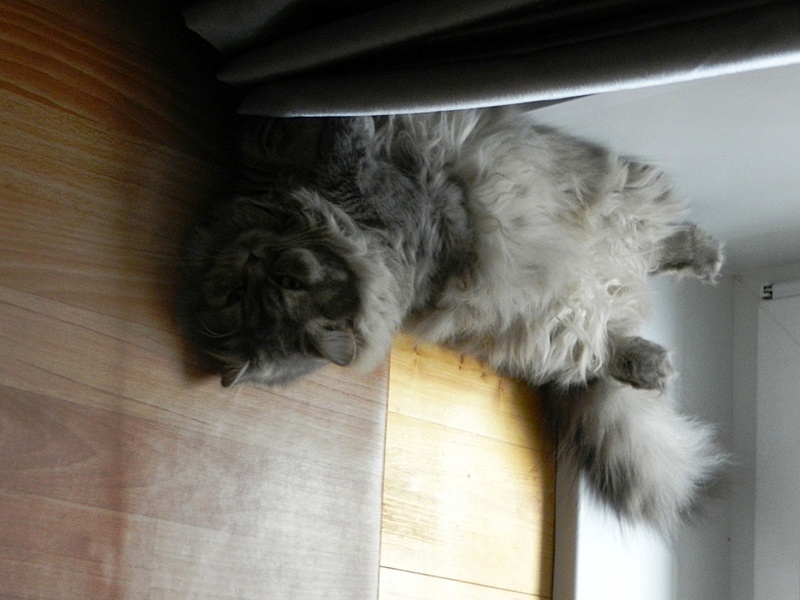 click for enlarge 1920 X 1440 603.6 Kb picture