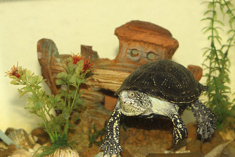 click for enlarge 1920 X 1280 1015.5 Kb picture