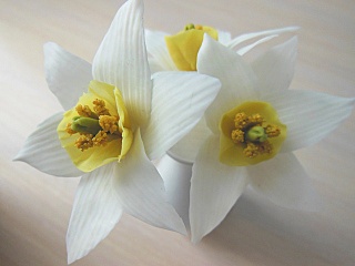 click for enlarge 640 X 480 127.3 Kb picture