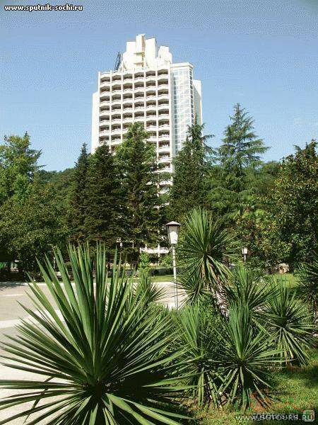 click for enlarge 800 X 1066 165.2 Kb picture