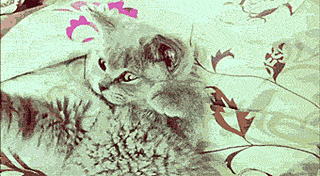 click for enlarge 340 X 187   1.1 Mb picture