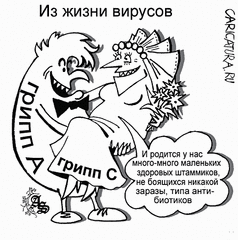 click for enlarge 447 X 450  75.8 Kb picture