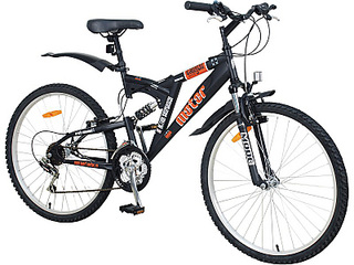 click for enlarge 800 X 600 169.0 Kb picture