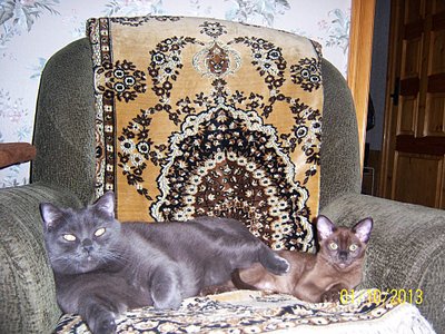 click for enlarge 1024 X 768 252.7 Kb picture