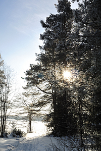 click for enlarge 1920 X 2868 826.1 Kb picture