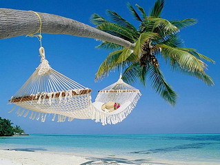 click for enlarge 533 X 400 67.8 Kb picture