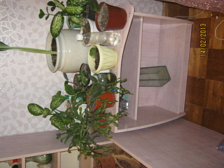 click for enlarge 1600 X 1200 432.8 Kb picture