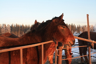 click for enlarge 1920 X 1280 847.0 Kb picture