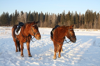 click for enlarge 1920 X 1280 221.8 Kb picture