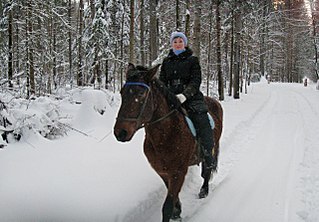 click for enlarge 1280 X 889 335.6 Kb picture