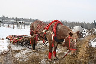 click for enlarge 1920 X 1280 508.4 Kb picture