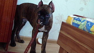 click for enlarge 1920 X 1080 459.1 Kb picture