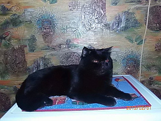 click for enlarge 640 X 480 143.2 Kb picture