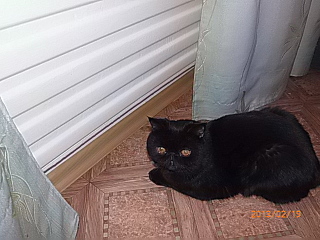 click for enlarge 640 X 480 143.1 Kb picture